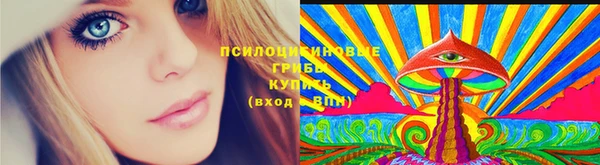 дмт Краснослободск