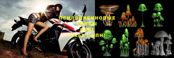 ПСИЛОЦИБИНОВЫЕ ГРИБЫ Красноперекопск