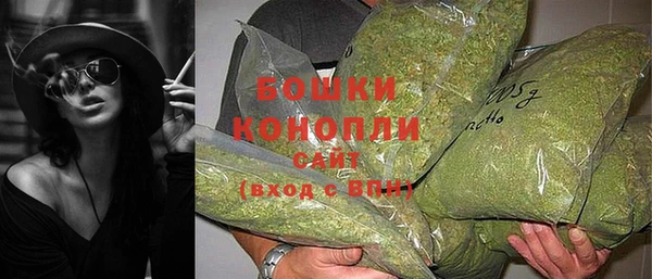 дмт Краснослободск