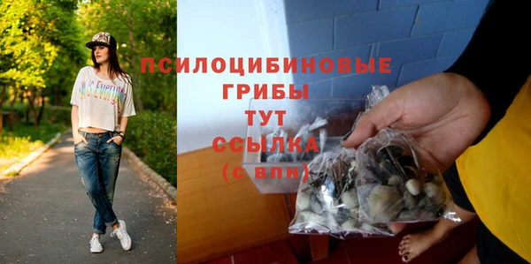 ПСИЛОЦИБИНОВЫЕ ГРИБЫ Красноперекопск